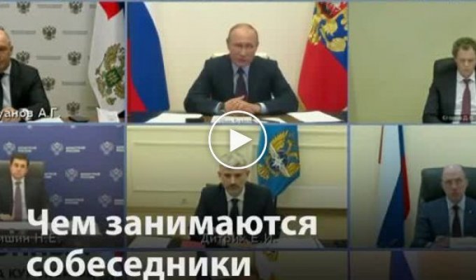 Чем занимаются чиновники во время видеозвонков с Путиным