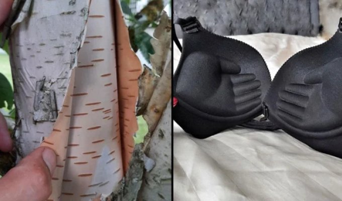16 amazing versions of what is actually inside objects and things (17 photos)