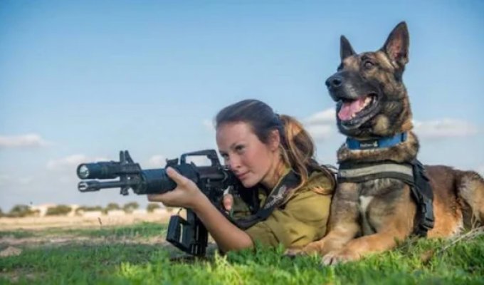 Inside Oketz: How Dogs Serve in the Israeli Military (20 Photos)