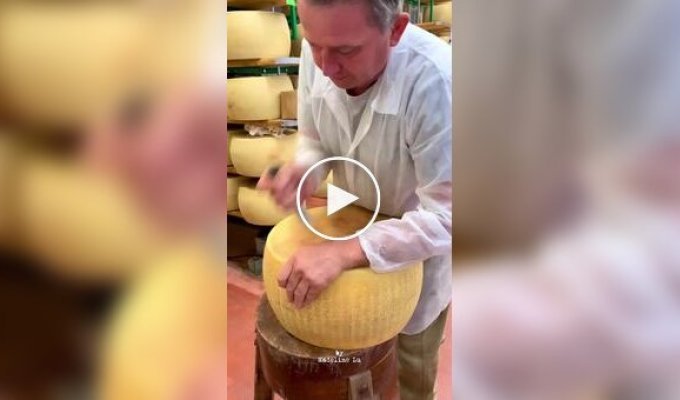 How to properly cut a wheel of cheese
