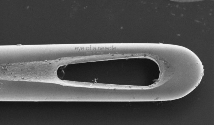 Микроскульптуры, которые не видны невооруженным глазом (9 фото)