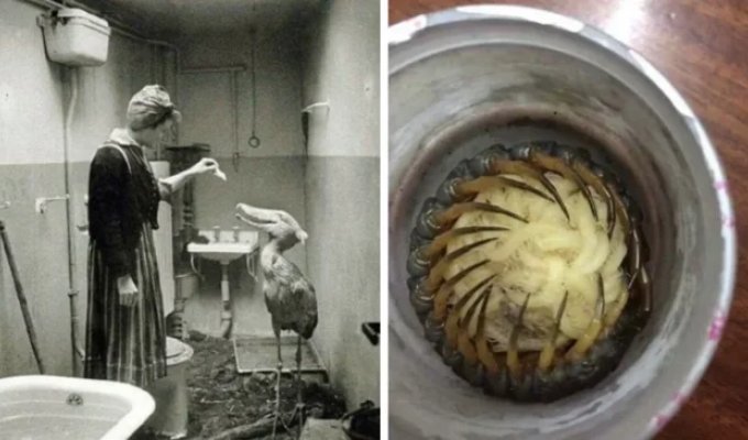 35 Terrifying Photos for Those Who Love a Thrill (36 photos)
