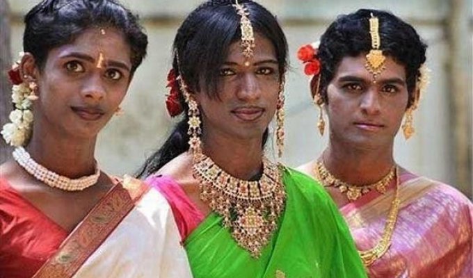 Индийские евнухи (12 фото)