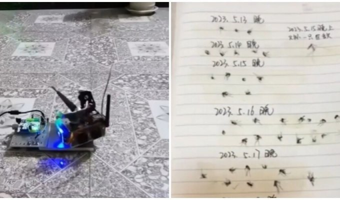 In China, a craftsman came up with an air defense system for mosquitoes (2 photos + 1 video)