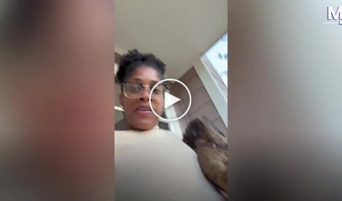 Uninvited dinner: birds brazenly joined a woman's meal