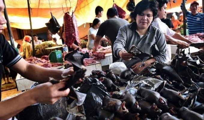 В Ухане запрещены охота, разведение и продажа мяса диких животных (3 фото)