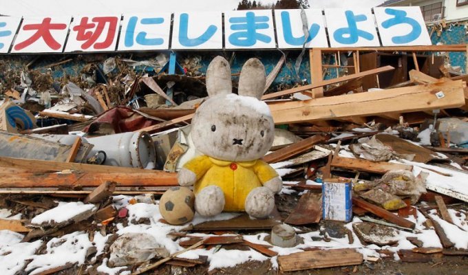 Япония: Надежды найти выживших практически нет (26 фото)