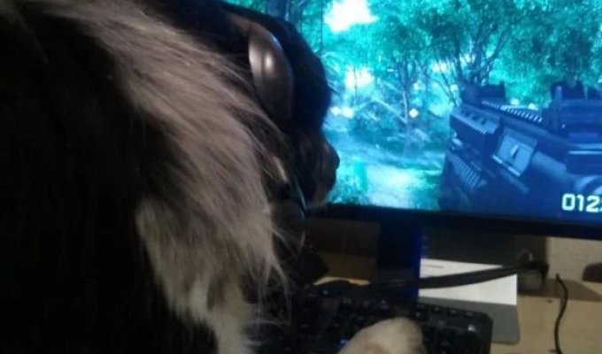 Прикольные картинки. Выпуск 3972 (116 фото)