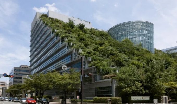 These Architects Proved That You Can Grow a Garden Even on a Rooftop (12 photos)