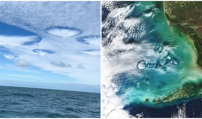 У небі над Флоридою помітили діряві хмари, схожі на НЛО (5 фото + 1 відео)