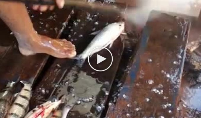Как быстро очистить рыбу от чешуи