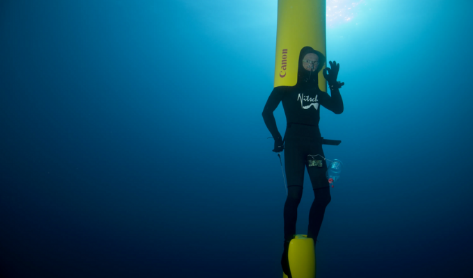 Top 5 mammals by diving depth. Winner - 3 km down! (8 photos)