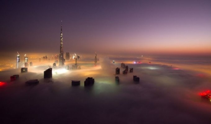 Дубай, окутанный туманом (16 фото)