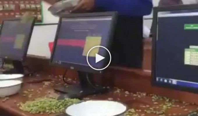 Как проходит кардамонный аукцион в Индии
