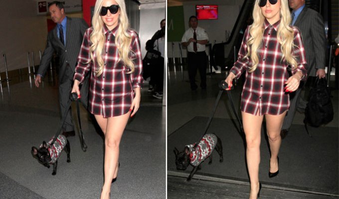 Леди Гага забыла надеть штаны на прогулку с собакой (11 фото)