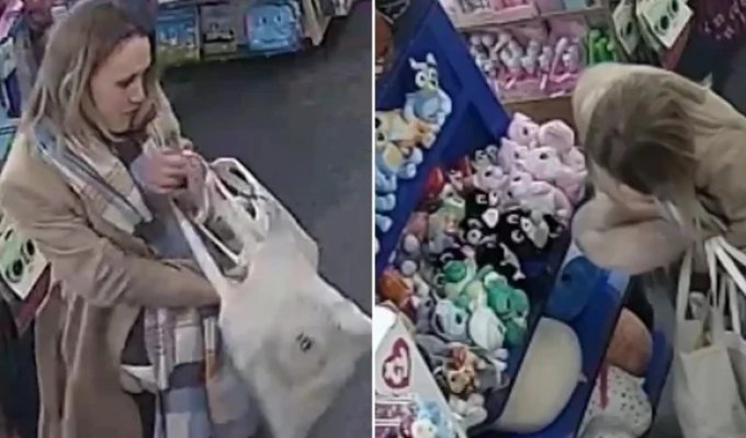 В Великобритании воровка набила штаны мягкими игрушками (5 фото + 1 видео)