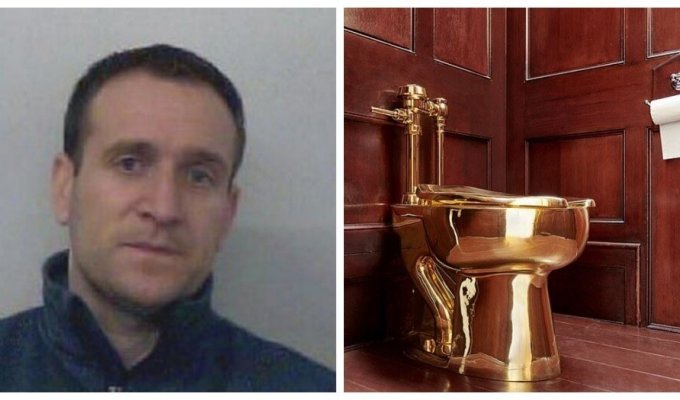 One of the thieves of a golden toilet from an art exhibition admitted his guilt (8 photos)