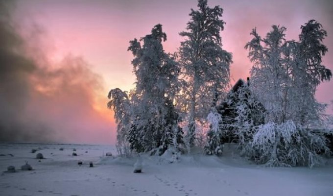 Winter, winter, about winter... (16 photos)