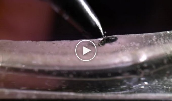 Bloggers with the help of slow-motion macro photography showed what the work of a tattoo machine looks like