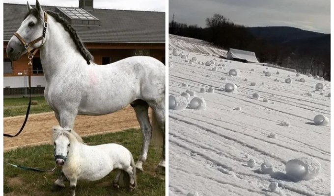 20 Photos of Unique Things Most People Will Never See (21 photos)