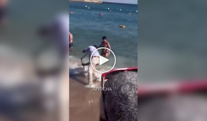 Мурена укусила туриста на пляже в Египте