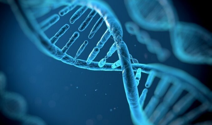 Как была расшифрована ДНК (4 фото)