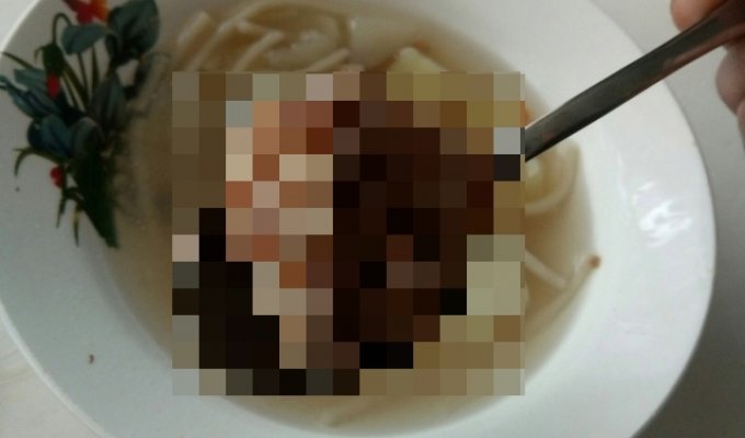 Ученики обнаружили в школьном супе кусок мяса с "щупальцами" (фото)