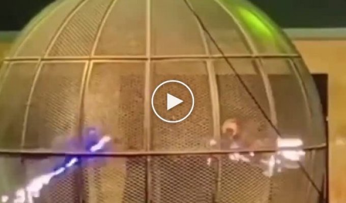 Мотоциклист загорелся в «шаре смерти» во время циркового шоу