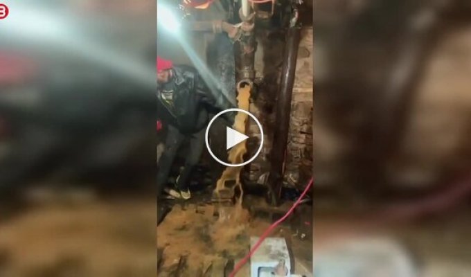 Сантехнический сюрприз