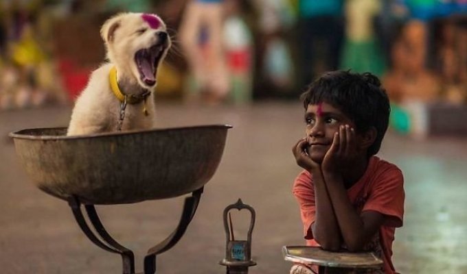 Фотографы со всего мира делают великолепные фото детей и животных (27 фото)
