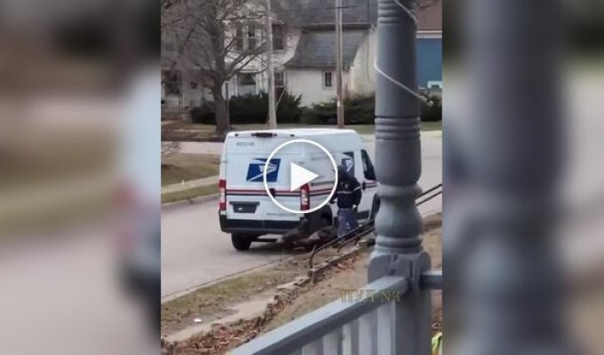 Месть за День Благодарения: в Висконсине стая диких индюков терроризирует местных жителей