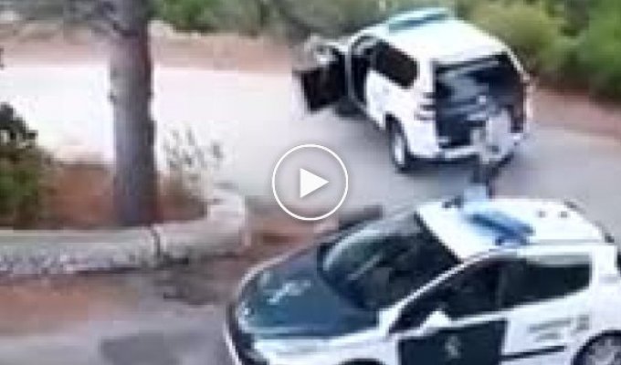 Владелец фургона накостылял полицейским во время своего ареста в Испании