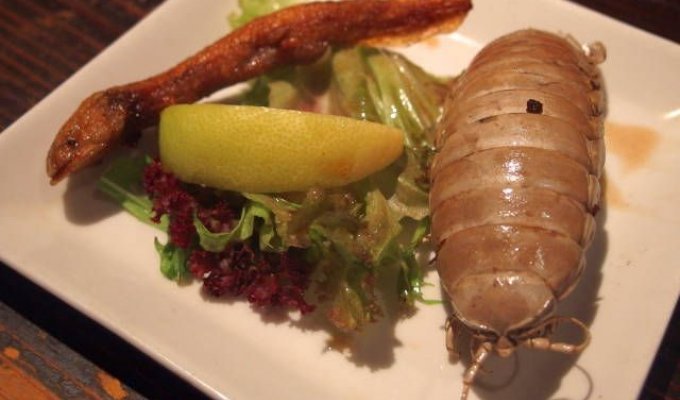 Свиные мозги, жареные скорпионы, лапы ящера и другие блюда оригинального японского ресторана (13 фото)