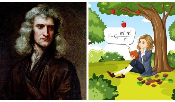 Newton's tree that still exists (8 photos)