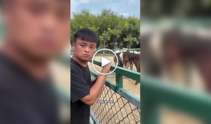 Мастер имитации: Как парень понимает язык животных