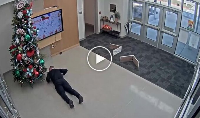 Полицейский из Техаса проиграл битву с рождественской елкой
