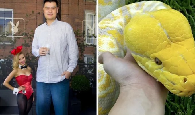 17 фото мега-огромных вещей, рядом с которыми начинаешь подозревать, что ты — лилипут (18 фото)