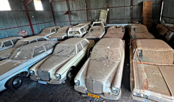 A hangar filled with rare Mercedes found in South Africa (7 photos)