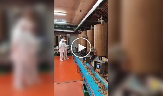Robots for cutting meat for shawarma