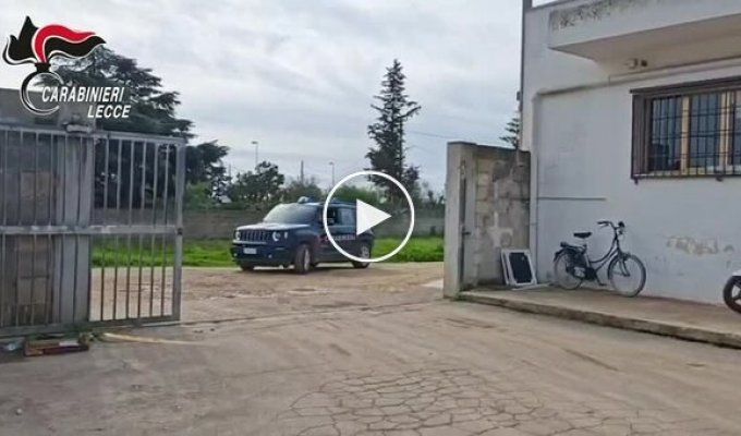 Итальянец случайно выбросил в мусор 20 золотых слитков