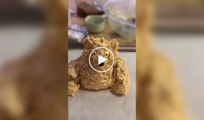 Попытка испечь печенье в форме медведя