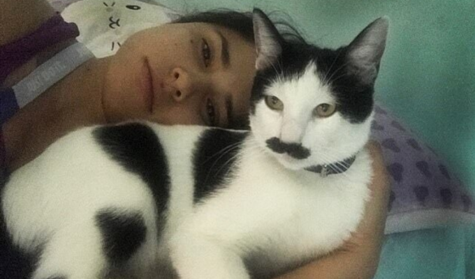 Котик с "усами" стал звездой соцсетей и похитителем женских сердечек (7 фото)
