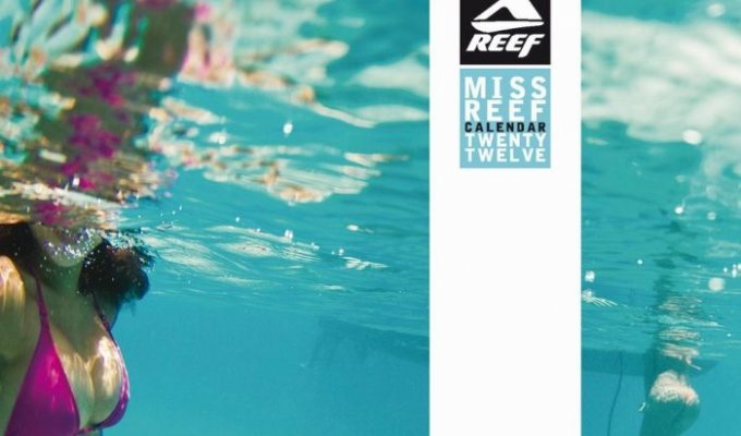 Miss Reef 2012 (45 фото)