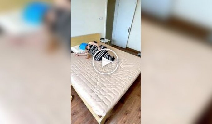 Котята мешают хозяйке спать