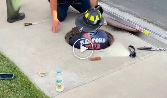 An unusual Florida resident fell into a manhole and they spent several hours trying to save him.