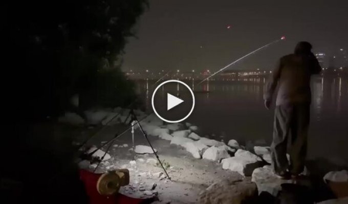 В Сеуле рыбак снял на видео «неопознанное существо»
