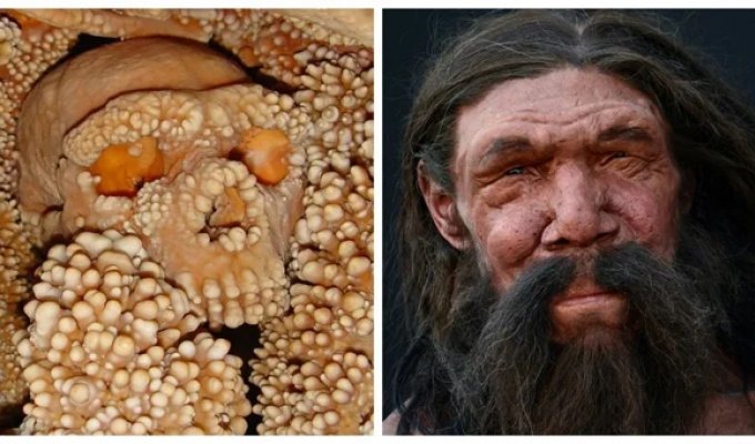 150 000 лет вниз головой: неандерталец, которого земля до сих пор не отпускает (7 фото)