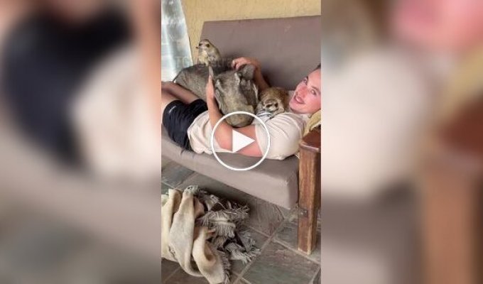 Тимон и Пумба в африканском заповеднике