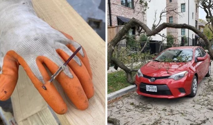 17 случаев, когда удача решила улыбнуться (16 фото)