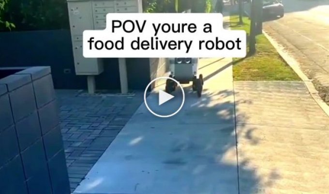 The robot courier was able to escape from the kidnappers who tried to drag him into the van